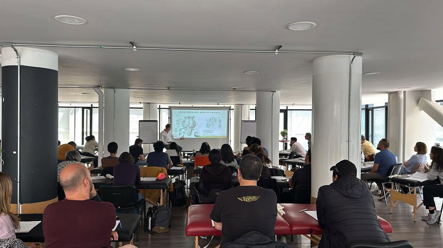 Clase teórica de PVMT1 sobre anatomía del nervio facial